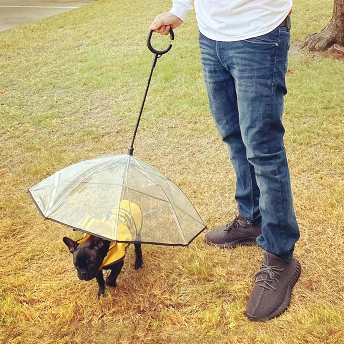 Dog Umbrella